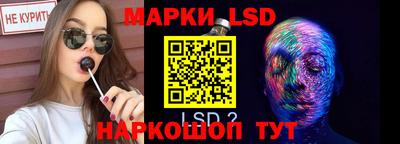 гидра Моздок
