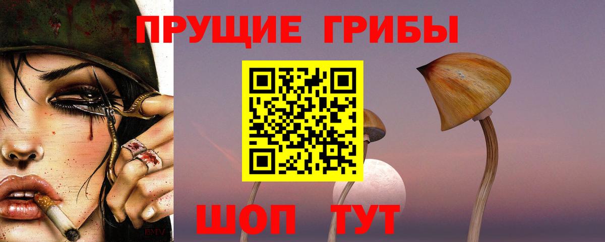 Галлюциногенные грибы GOLDEN TEACHER  Вход с VPN  Галлюциногенные грибы мухоморы  Химки 