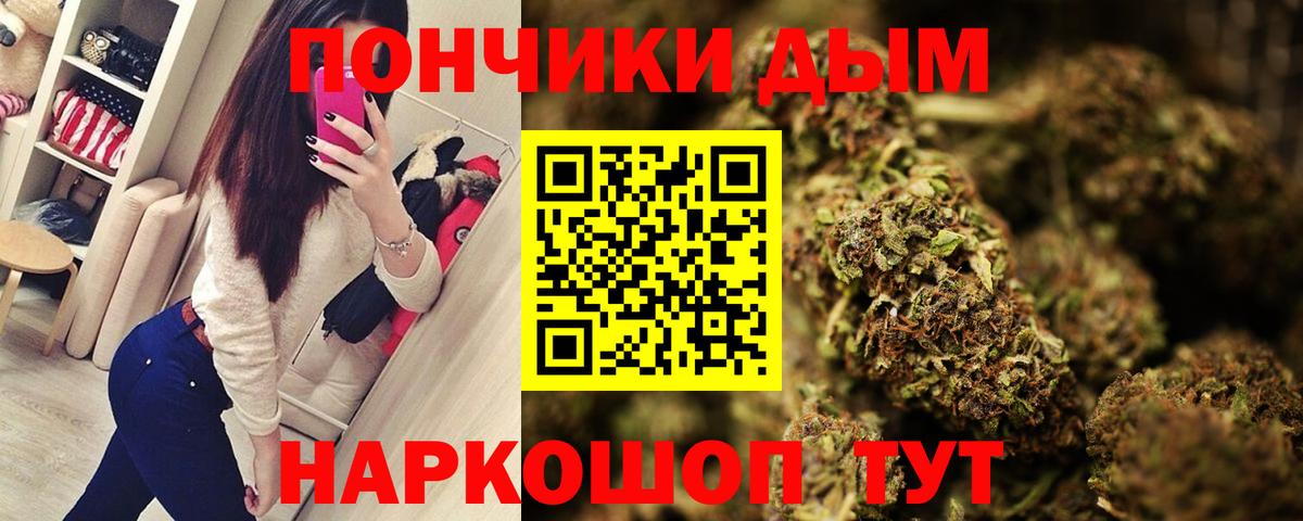 Бошки марихуана индика  Каннабис SATIVA & INDICA  Химки  Вход с VPN  Конопля конопля 